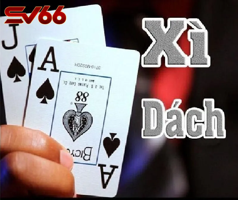 Bài xì dách SV66 – Trò chơi bài kinh điển với sức hút khó cưỡng