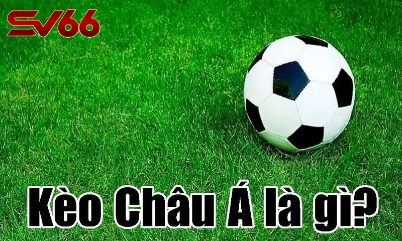 Kèo Châu Á SV66 Là Gì? Loại Kèo Đỉnh Cao Trong Cá Cược